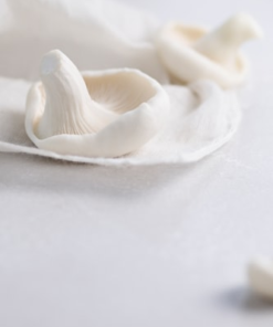 Organic Button Mushrooms