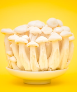 Organic Lion's Mane Mushrooms