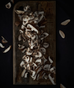 Mushroom Growing Kit